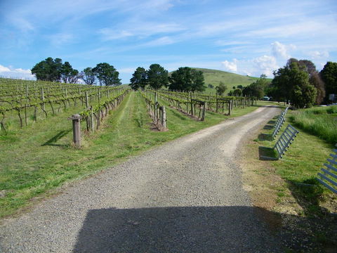 De\'Vine Escape - Sunshine Coast Tourism 24