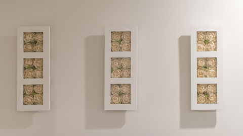 Guest House In Melbourne - Holiday Sunshine Coast 10