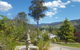 Abbys Cottages Bright - thumb 34