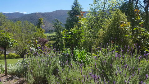 Abbys Cottages Bright - Holiday Sunshine Coast 33