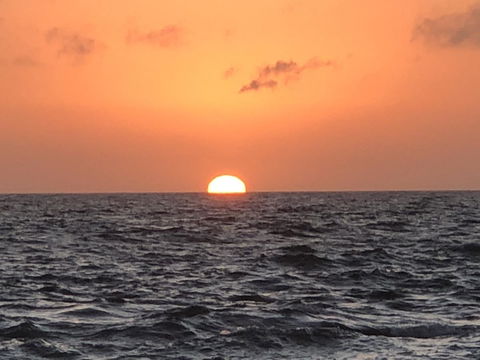 Beautiful, Cosy And Quiet - Holiday Sunshine Coast 27