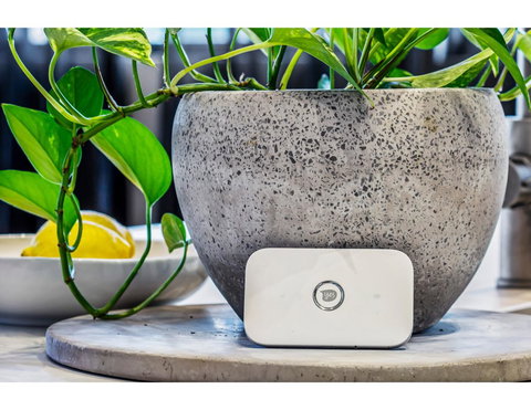 Ultimate Luxury Penthouse From The Block - Holiday Sunshine Coast 24