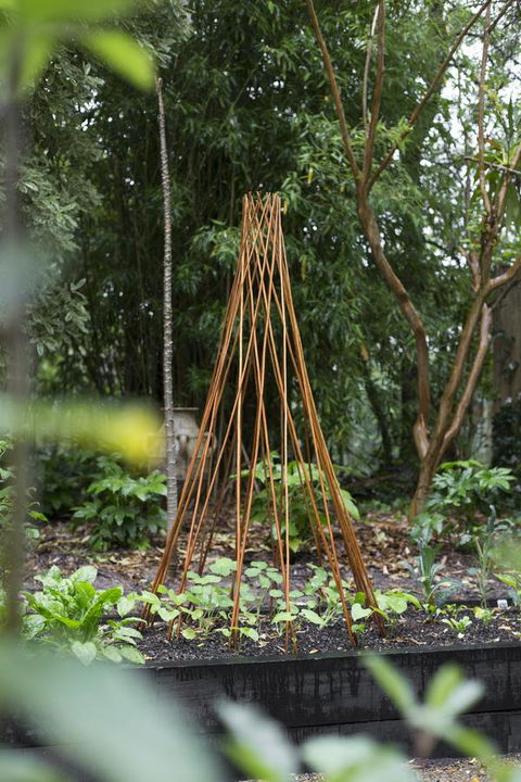 Botanica Editions - Sunshine Coast Tourism 23