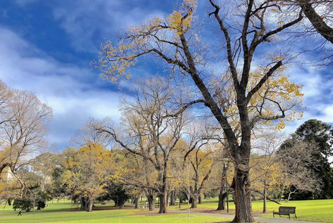 Fawkner Apartment Bay-view 4 - Holiday Sunshine Coast 31