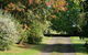 Strathmore Farm B&B - thumb 27