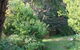 Strathmore Farm B&B - thumb 21