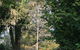 Strathmore Farm B&B - thumb 26
