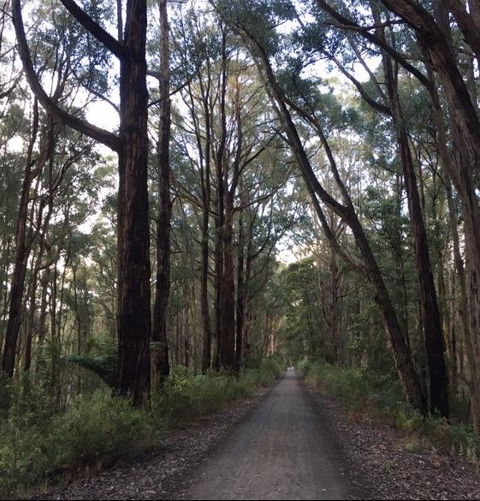 Strathmore Farm B&B - Holiday Sunshine Coast 4