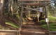 Strathmore Farm B&B - thumb 3