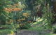 Strathmore Farm B&B - thumb 25