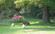 Strathmore Farm B&B - thumb 23