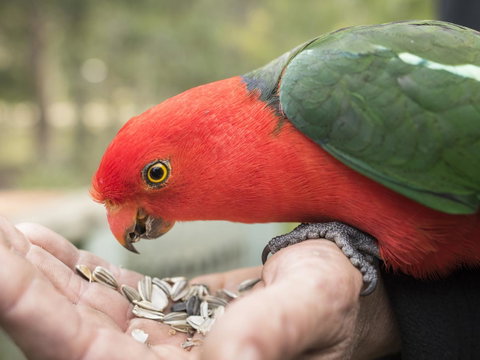 Gipsy Point Lodge & Cottages - Sunshine Coast Tourism 17