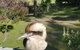Gipsy Point Lodge & Cottages - thumb 8
