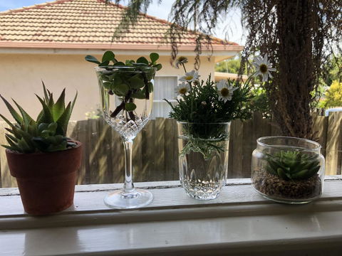 Growse House Yarram 3BR - Sunshine Coast Tourism 10