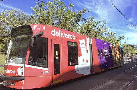 Pride Manor South Yarra - Sunshine Coast Tourism 14