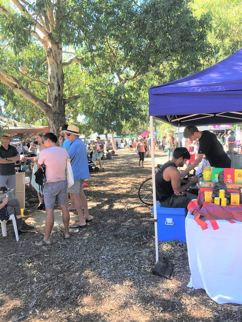 Beach Front Beauty - Sunshine Coast Tourism 30