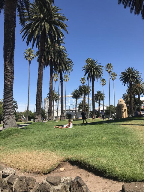 Beach Front Beauty - Sunshine Coast Tourism 26