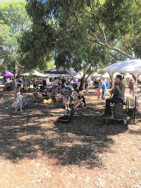 Beach Front Beauty - Sunshine Coast Tourism 29