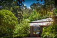 Book Eltham Accommodation Vacations Sunshine Coast Tourism Sunshine Coast Tourism