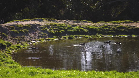 Limosa Rise - Sunshine Coast Tourism 15