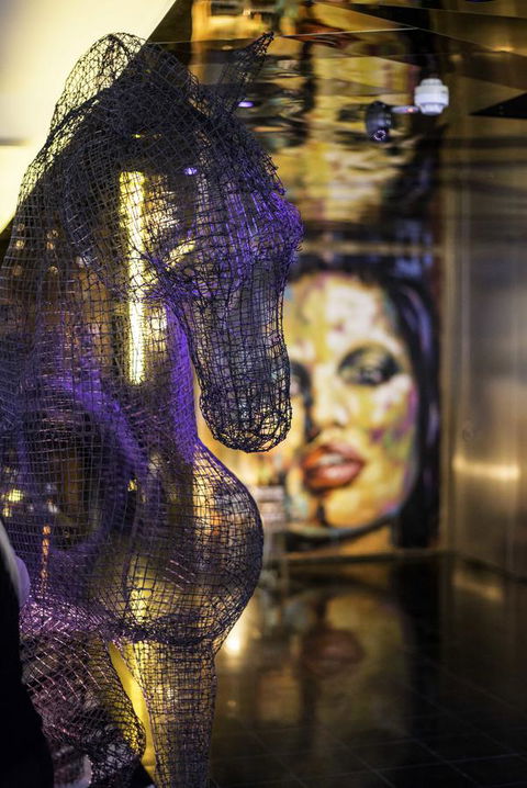 Adelphi Hotel - Holiday Sunshine Coast 4