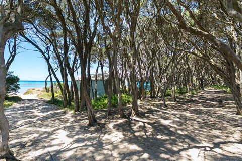 Fairhills - NEW LISTING, Beautifully Styled - Sunshine Coast Tourism 12