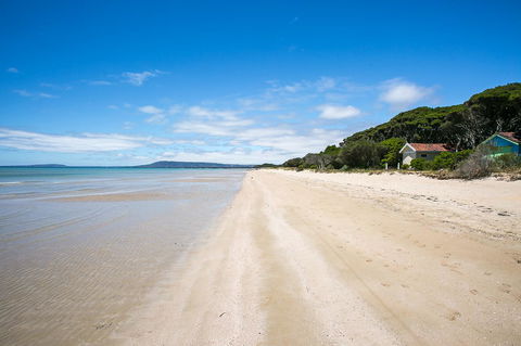 Fairhills - NEW LISTING, Beautifully Styled - Sunshine Coast Tourism 11