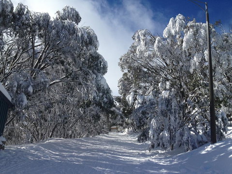 Maisonettes Falls Creek - Holiday Sunshine Coast 17