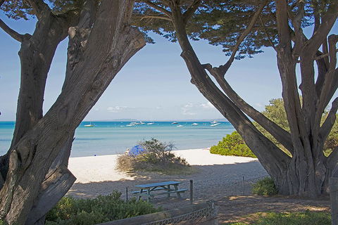 Sorrento Chic - Sunshine Coast Tourism 8
