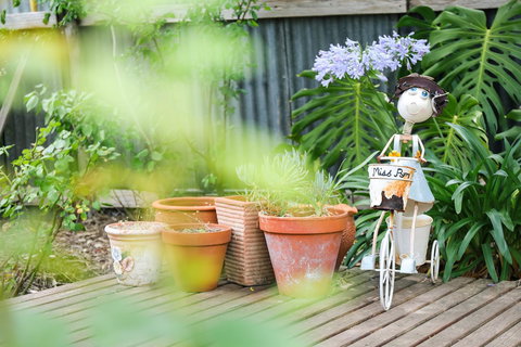 Miss Pym's Cottage - Sunshine Coast Tourism 7