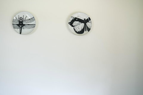 Miss Pym's Cottage - Sunshine Coast Tourism 32