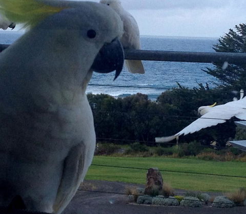 Apollos View Accommodation - Holiday Sunshine Coast 21