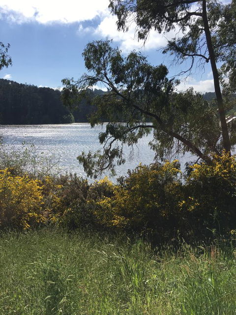 Lakeside Conti Villas - Sunshine Coast Tourism 8