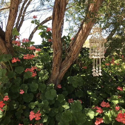 The Fingal Farm - Sunshine Coast Tourism 27