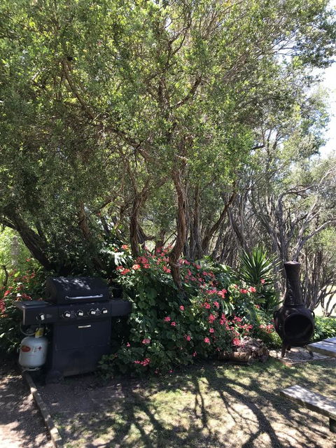 The Fingal Farm - Sunshine Coast Tourism 24
