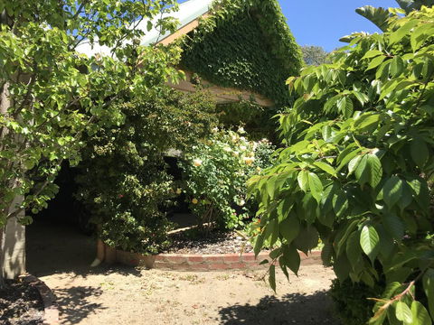 The Fingal Farm - Sunshine Coast Tourism 34