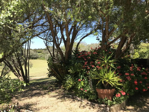 The Fingal Farm - Sunshine Coast Tourism 9