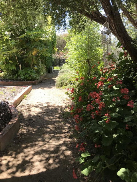 The Fingal Farm - Sunshine Coast Tourism 19