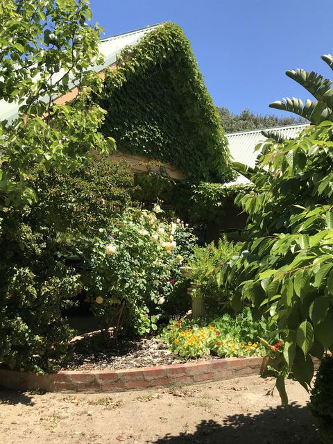 The Fingal Farm - Sunshine Coast Tourism 7