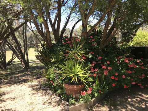 The Fingal Farm - Sunshine Coast Tourism 33
