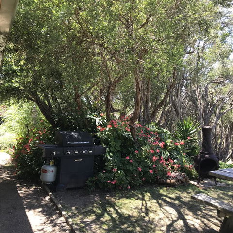 The Fingal Farm - Sunshine Coast Tourism 31