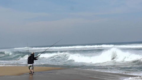 Stunning Waterfront Only 10 Minutes To Phillip Island - FREE EV UNIT 7kW For Electric Cars - Pet Friendly, Fireplace FREE WIFI Wine & Chocolates - Sunshine Coast Tourism 5