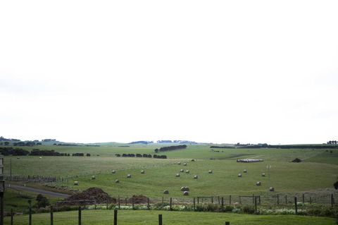 Stunning Waterfront Only 10 Minutes To Phillip Island - FREE EV UNIT 7kW For Electric Cars - Pet Friendly, Fireplace FREE WIFI Wine & Chocolates - Sunshine Coast Tourism 10