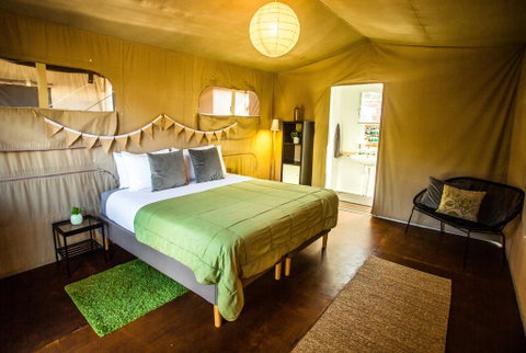 The Beachcamp Eco Retreat - Sunshine Coast Tourism 2