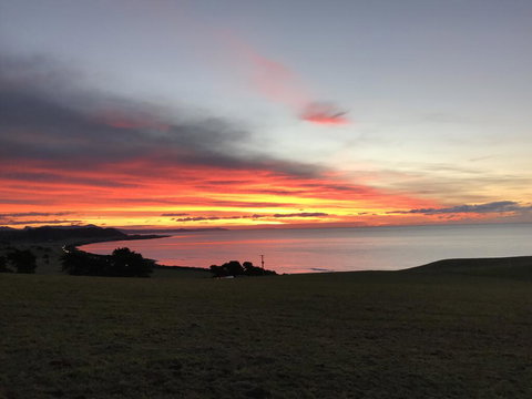 The Cove Tasmania - Sunshine Coast Tourism 1