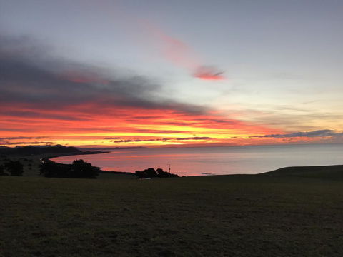 The Cove Tasmania - Sunshine Coast Tourism 1