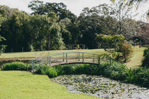 The Eumundi Dairy - Sunshine Coast Tourism 0