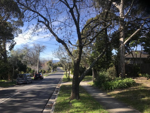 The Greenhouse - Holiday Sunshine Coast 1