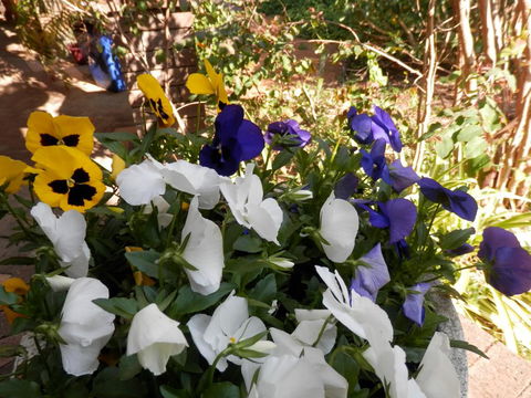 The Hideaway Luxury B&B Retreat - Holiday Sunshine Coast 1