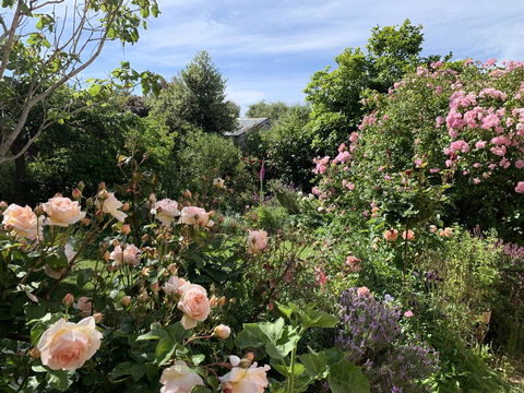 The Racecourse Inn - Sunshine Coast Tourism 2